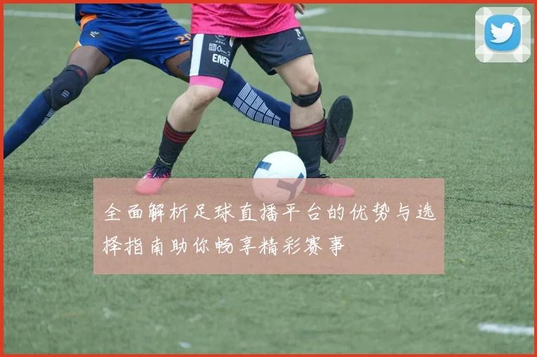 全面解析足球直播平台的优势与选择指南助你畅享精彩赛事