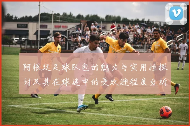 阿根廷足球队包的魅力与实用性探讨及其在球迷中的受欢迎程度分析