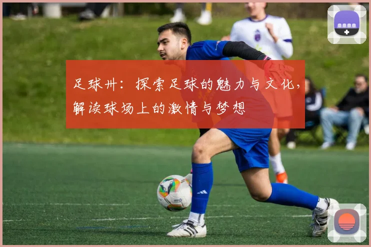 足球卅：探索足球的魅力与文化，解读球场上的激情与梦想