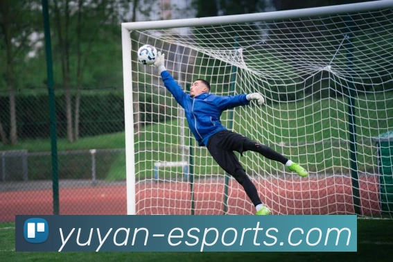 雨燕体育直播平台生态图