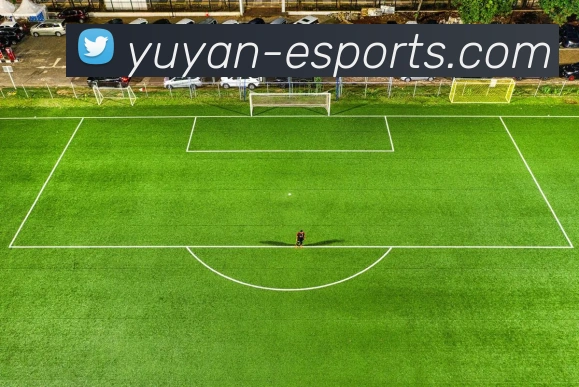 雨燕体育直播全站App